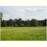 lippe-wiese-2.jpg