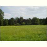 lippe-wiese-3.jpg