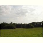 lippe-wiese.jpg